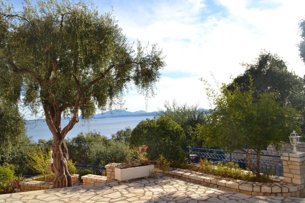 Barbati View Luxury Apartments Εξωτερικό φωτογραφία
